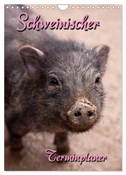 Schweinischer Terminplaner (Wandkalender 2025 DIN A4 hoch), CALVENDO Monatskalender