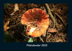 Tobias Becker. Pilzkalender 2023 Fotokalender DIN A4 - Monatskalender mit Bild-Motiven aus Fauna und Flora, Natur, Blumen und Pflanzen. Vero Kalender, 2022.