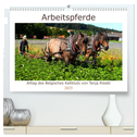 Arbeitspferde - Alltag des belgischen Kaltbluts (hochwertiger Premium Wandkalender 2025 DIN A2 quer), Kunstdruck in Hochglanz