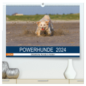 POWERHUNDE 2024 (hochwertiger Premium Wandkalender 2024 DIN A2 quer), Kunstdruck in Hochglanz