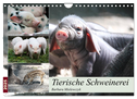 Tierische Schweinerei (Wandkalender 2025 DIN A4 quer), CALVENDO Monatskalender