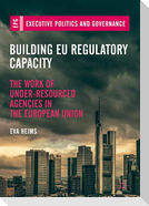 Building EU Regulatory Capacity