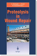 Proteolysis in Wound Repair