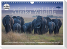 Emotionale Momente: Afrika Wildlife. Part 3. (Wandkalender 2025 DIN A4 quer), CALVENDO Monatskalender