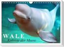 Wale - Kolosse der Meere (Wandkalender 2025 DIN A4 quer), CALVENDO Monatskalender