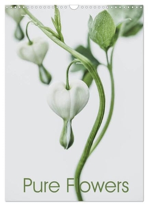 Lauermann, Andreas. Pure Flowers (Wandkalender 2024 DIN A3 hoch), CALVENDO Monatskalender - Außergewöhnliche Blütenportraits stilvoll in Szene gesetzt.. Calvendo, 2023.