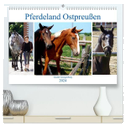 Pferdeland Ostpreußen - Gestüt Georgenburg (hochwertiger Premium Wandkalender 2024 DIN A2 quer), Kunstdruck in Hochglanz