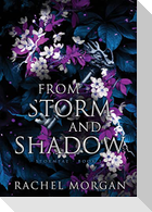 From Storm and Shadow
