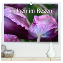Tulpen im Regen (hochwertiger Premium Wandkalender 2024 DIN A2 quer), Kunstdruck in Hochglanz