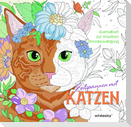 Entspannen mit Katzen