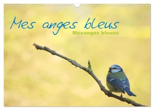 Aupeix, Jérôme. Mes anges bleus "mésanges bleues" (Calendrier mural 2025 DIN A3 vertical), CALVENDO calendrier mensuel - Mésanges bleues d'Europe. Calvendo, 2024.