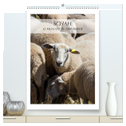 Schafe - 12 Monate in der Herde (hochwertiger Premium Wandkalender 2024 DIN A2 hoch), Kunstdruck in Hochglanz