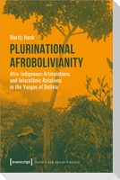 Plurinational Afrobolivianity