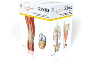 Bräuer, Lars / Joachim Bernhard. Sobotta Lernkarten für Physiotherapeuten. Urban & Fischer/Elsevier, 2015.