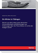 Ein Winter in Tübingen