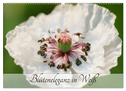 Blüteneleganz in Weiß (Wandkalender 2024 DIN A2 quer), CALVENDO Monatskalender