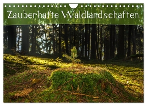Wenk, Marcel. Zauberhafte Waldlandschaften (Wandkalender 2024 DIN A4 quer), CALVENDO Monatskalender - Traumhafte Landschaftsaufnahmen aus deutschen Wäldern. Calvendo Verlag, 2023.