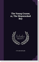 The Young Crusoe; or, The Shipwrecked Boy