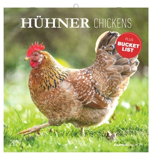 Neumann Verlage GmbH & Co KG (Hrsg.). Hühner 2027 - Wandkalender 30x30 cm (30x60 cm geöffnet) mit Notizkalendarium, 12 Hühner-Motiven und Bucket-List. Neumann Verlage GmbH & Co, 2026.