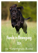 Hunde in Bewegung 2024 von Tierfotografie Bischof (Wandkalender 2024 DIN A3 hoch), CALVENDO Monatskalender