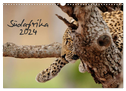 Südafrika (Wandkalender 2024 DIN A3 quer), CALVENDO Monatskalender