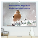 Schottlands Vogelwelt - Ein Porträt in Zeichnungen (hochwertiger Premium Wandkalender 2025 DIN A2 quer), Kunstdruck in Hochglanz