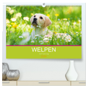 Welpen im Frühling (hochwertiger Premium Wandkalender 2024 DIN A2 quer), Kunstdruck in Hochglanz