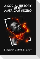 A Social History of the American Negro