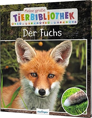 Havard, Christian. Meine große Tierbibliothek: Der Fuchs - Sachbuch für Vorschule & Grundschule. Esslinger Verlag, 2020.