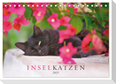 Inselkatzen (Tischkalender 2025 DIN A5 quer), CALVENDO Monatskalender