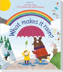 Lift-the-Flap First Questions and Answers What Makes it Rain?