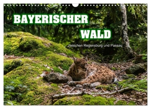 Thiele, Ralf-Udo. Bayerischer Wald (Wandkalender 2024 DIN A3 quer), CALVENDO Monatskalender - zwischen Regensburg und Passau. Calvendo, 2023.