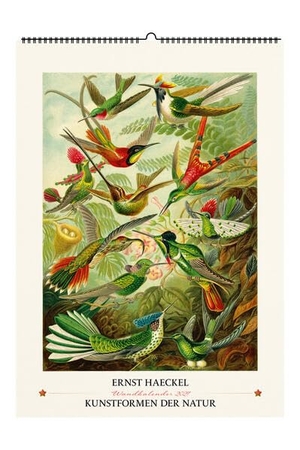 Ernst Haeckel. Kunstformen der Natur. Wandkalender 2027 - 13 Motive aus Kunstformen der Natur. Favoritenpresse, 2026.
