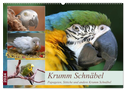 Krumm Schnäbel - Papageien, Sittiche und andere Krumm Schnäbel (Wandkalender 2024 DIN A2 quer), CALVENDO Monatskalender
