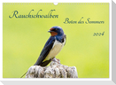Rauchschwalben - Boten des Sommers (Wandkalender 2024 DIN A3 quer), CALVENDO Monatskalender