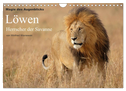 Magie des Augenblicks - Löwen - Herrscher der Savanne (Wandkalender 2025 DIN A4 quer), CALVENDO Monatskalender