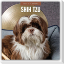 Shih Tzu 2027 - 16-Monatskalender