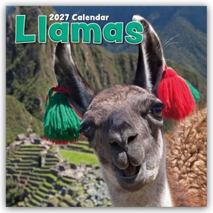 Gifted Stationery Co. Ltd. Llamas - Lamas 2027 - 16-Monatskalender - Original Gifted Stationery-Kalender [Mehrsprachig] [Kalender]. Browntrout Verlags GmbH, 2026.