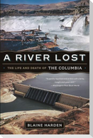 A River Lost