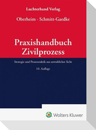 Praxishandbuch Zivilprozess