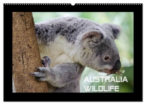 By Wolfgang Schömig, Luxscriptura. Australia Wildlife (Wandkalender 2024 DIN A2 quer), CALVENDO Monatskalender - Portraits von Australiens einzigartiger Tierwelt. Calvendo Verlag, 2023.