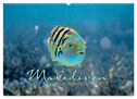 Unterwasserwelt der Malediven II (Wandkalender 2025 DIN A2 quer), CALVENDO Monatskalender