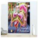 Traumhafte Orchideen (hochwertiger Premium Wandkalender 2025 DIN A2 hoch), Kunstdruck in Hochglanz