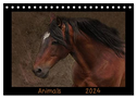 Animals (Tischkalender 2024 DIN A5 quer), CALVENDO Monatskalender
