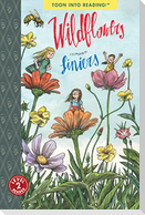 Wildflowers