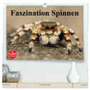 Faszination Spinnen (hochwertiger Premium Wandkalender 2025 DIN A2 quer), Kunstdruck in Hochglanz