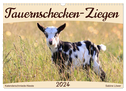 Tauernschecken-Ziegen (Wandkalender 2024 DIN A3 quer), CALVENDO Monatskalender