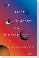 A Brief History of the Universe (and Our Place in It)