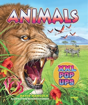 Hawcock, David. Animals XXL pop-ups. nuinui, 2024.
