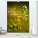 Im richtigen Licht: Wilde Orchideen in Südbayern (Premium, hochwertiger DIN A2 Wandkalender 2023, Kunstdruck in Hochglanz)